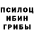 Псилоцибиновые грибы Psilocybe Dodi Rahman