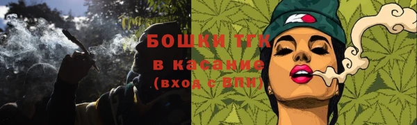метамфетамин Ельня