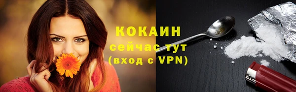 метамфетамин Ельня