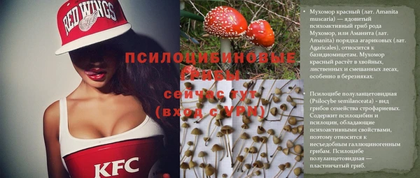 метамфетамин Ельня