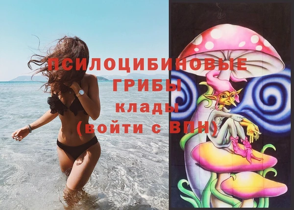 метамфетамин Ельня